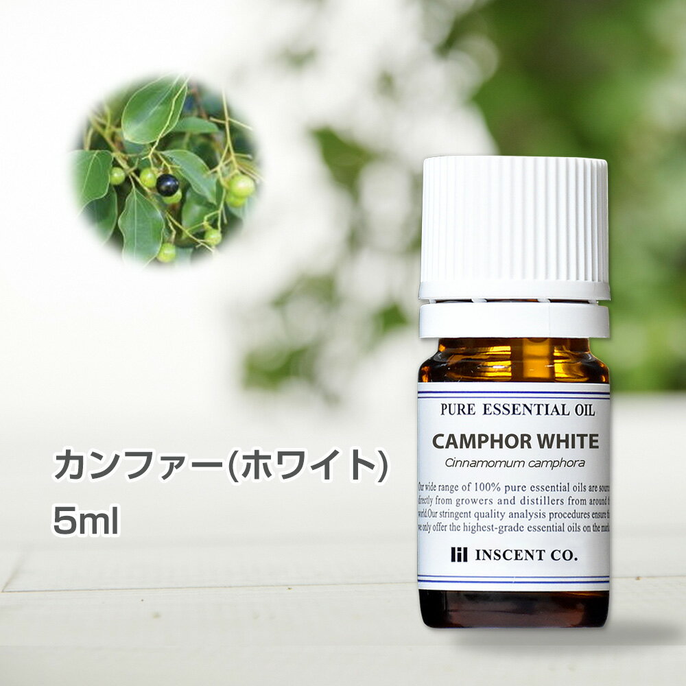 カンファー ホワイト 5ml インセント エッセンシャルオイル 精油