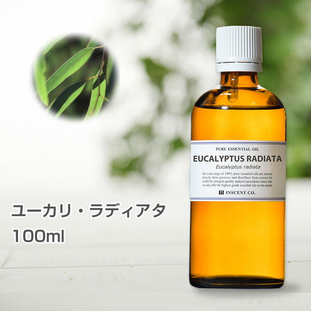 ユーカリ ラディアタ 100ml インセント エッセンシャルオイル 精油