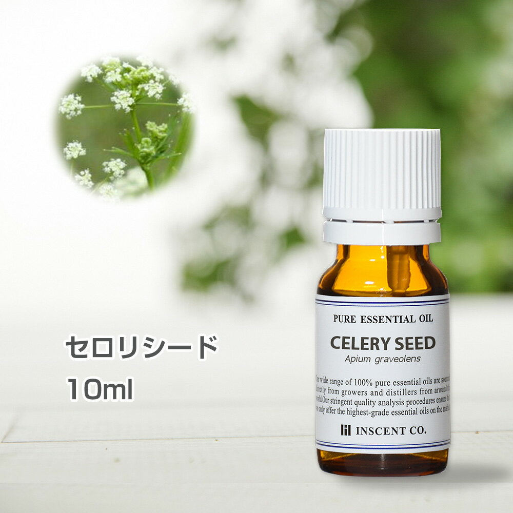 セロリシード 10ml インセント エッセンシャルオイル 精油