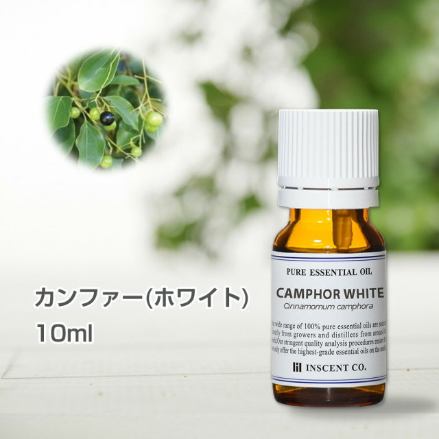カンファー ホワイト 10ml インセント エッセンシャルオイル 精油