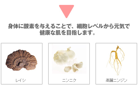 ゲルマレイシ