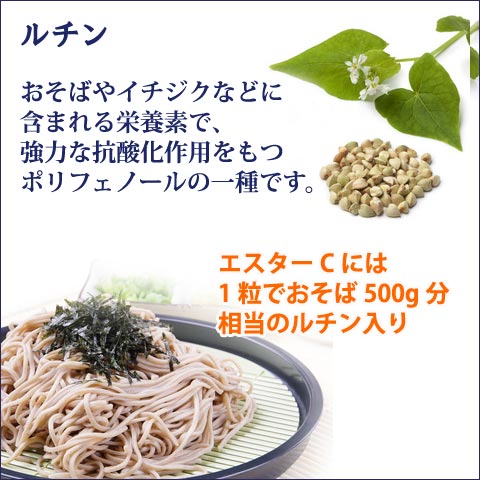 エスターC