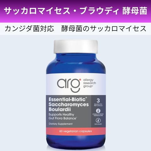 サッカロマイセスブラウディ