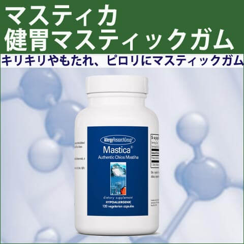 73660マスティカ