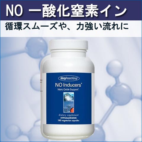 NO 一酸化窒素イン