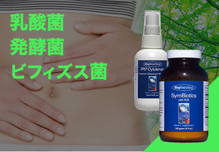 乳酸菌・発酵菌・ビフィズス菌