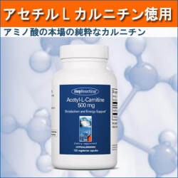70660Lカルニチン