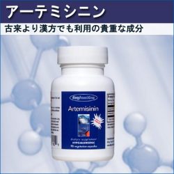 ヨモギ属のアーテミシニンとクソニンジン