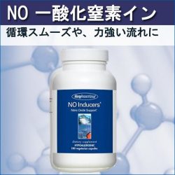 NO 一酸化窒素イン