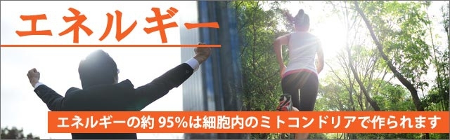 エネルギー