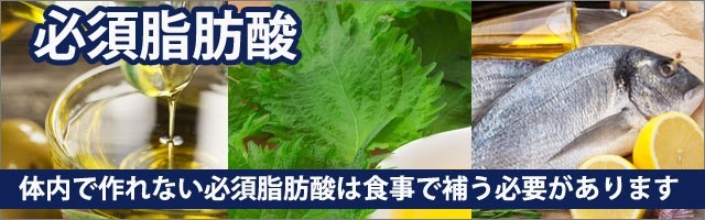 必須脂肪酸