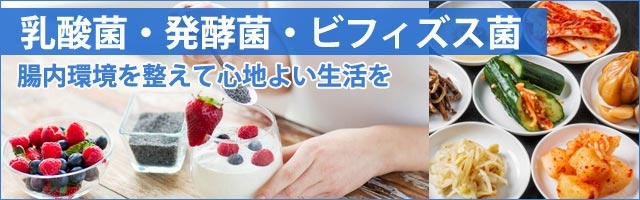 乳酸菌・発酵菌・ビフィズス菌