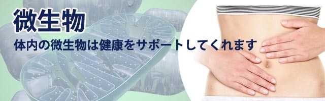 微生物