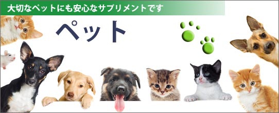 ペット