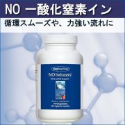 NO 一酸化窒素イン