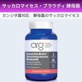 サッカロマイセスブラウディ