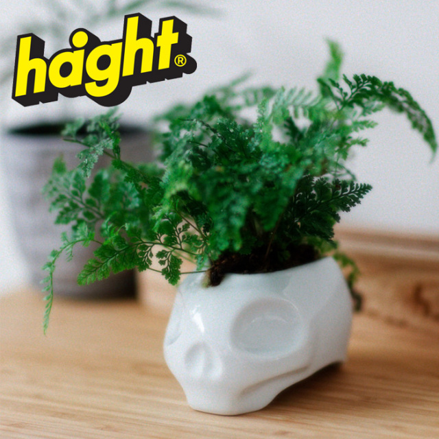 【SALE40%OFF】　HAIGHT (ヘイト)　NEW SCHOOL SKULL "ARITAYAKI" PLANT POT　 【植木鉢】【HTHP-227001】【2022AUTUMN&WINTER 新作