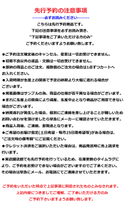 SOFTMACHINE (ソフトマシーン)　XXXX　【Tシャツ】【ホワイト ブラック グレー タトゥー】【2025 SPRING&SUMMER COLLECTION先行予約