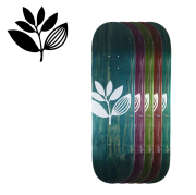 MAGENTA SKATEBOARDS（マゼンタ スケートボード）　 BIG PLANT TEAM BOARD 　【マゼンタ MAGENTA】【スケートボード スケボー】【デ