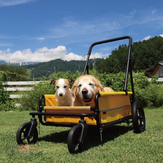 エアバギーペット キャリッジ(台車のみ) | 犬グッズ 通販 イヌトゴ