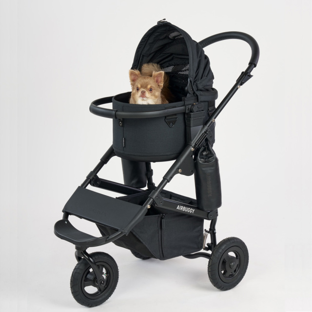 DOME3スモールセットアースブラックモデル犬つき画像