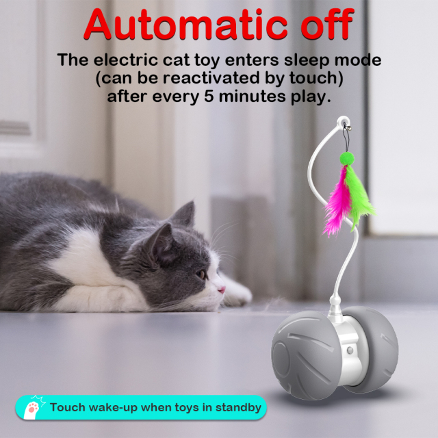 BentpalP63_withcat2