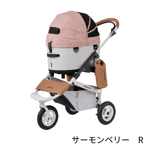 ドーム３サーモンベリーRフロント