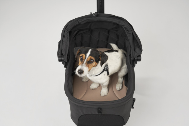 WIZX MAT MOCHA_dog_center