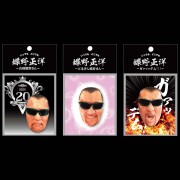 蝶野正洋