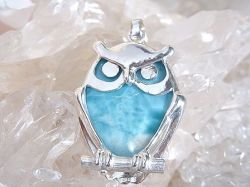 ラリマー ＆ フクロウ ペンダント ☆ シルバーチェーン付き！ 【 Ryu コレクション】 ☆ 送料無料！