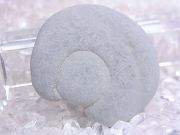 フェアリーストーン ☆ 妖精の石 ☆