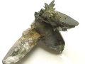 ヒマラヤ水晶クラスター ☆ クローライト入り ラパ産ガネーシュヒマール水晶 ☆