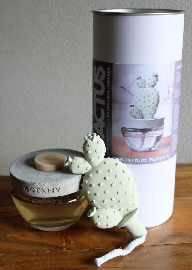 カクタスディフューザー