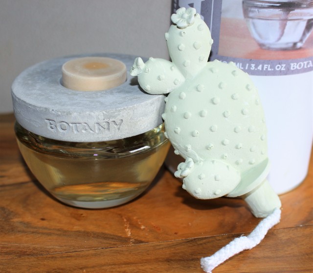 カクタスディフューザー