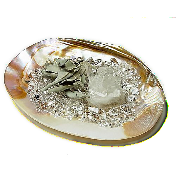 浄化セット（淡水シェル・トマスゴンサガ産水晶クラスター）