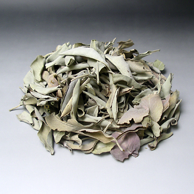 ホワイトセージ 葉のみ