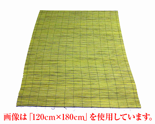 真菰 輸入 90cm×180cm