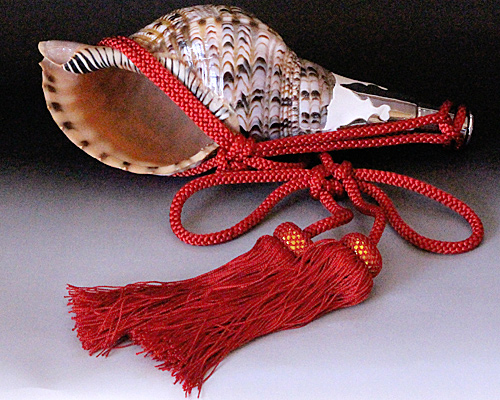 No.20 ほら貝 12インチ