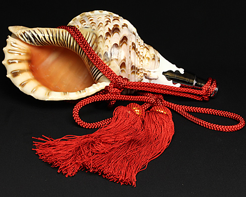 No.26 ほら貝 13インチ