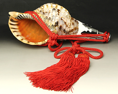 No.27 ほら貝 13インチ