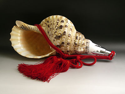 ほら貝　17インチ（約40.5cm）　No.3