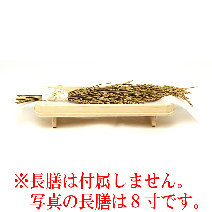 カケチカラ（懸税）【期間限定販売】