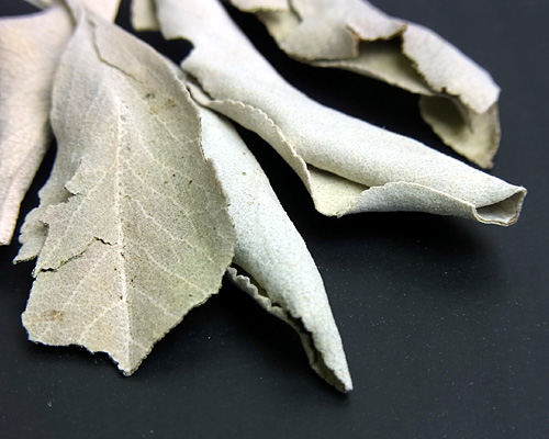 浄化セット　アメジスト