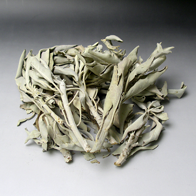 ホワイトセージ 枝つき | 高級神棚・神具の通販なら伊勢宮忠オンライン