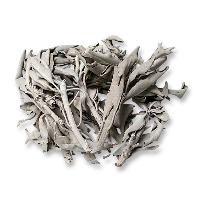 ホワイトセージ 枝つき