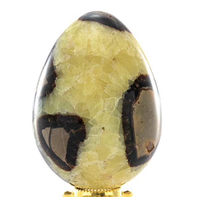 セプタリアン 卵型 （エッグ型） （マダガスカル産） No.1