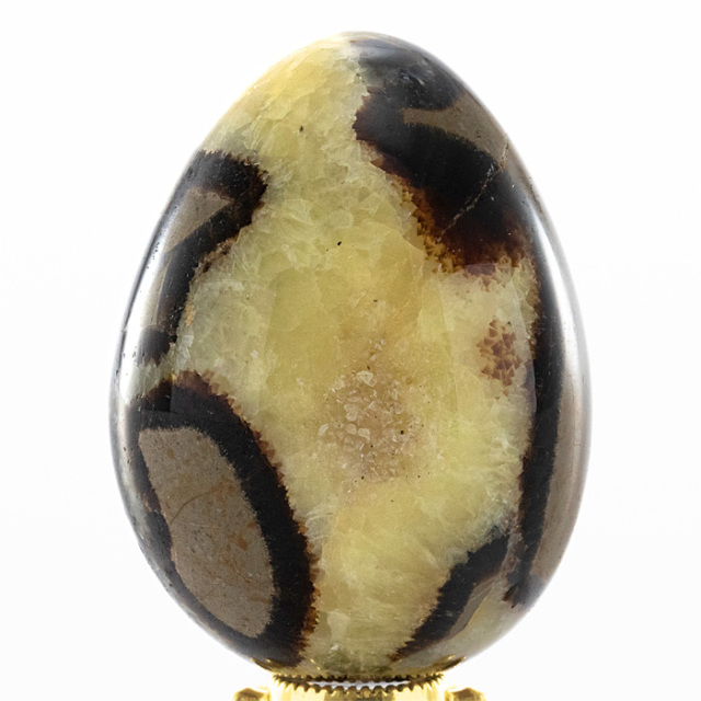 セプタリアン 卵型 （エッグ型） （マダガスカル産） No.2