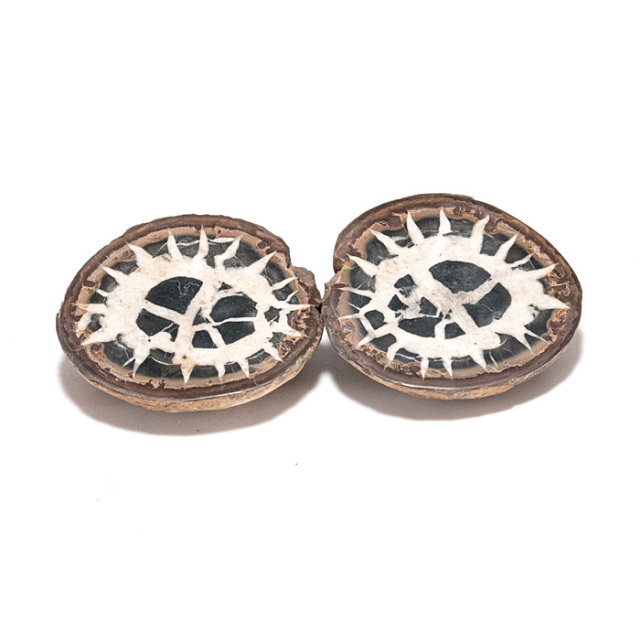 セプタリアンノジュール ペア （モロッコ産） No.23 | 神棚・神