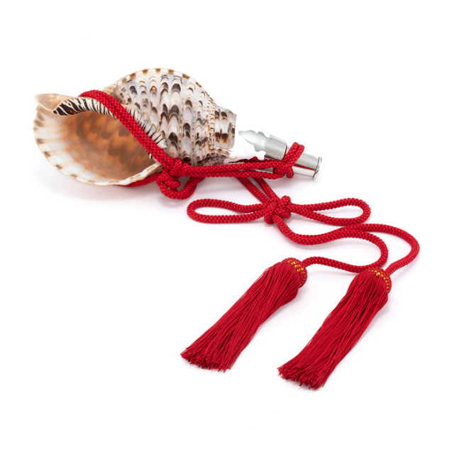 特大法螺貝 2025年最新】Yahoo!オークション -特大法螺貝の中古品・新品・未