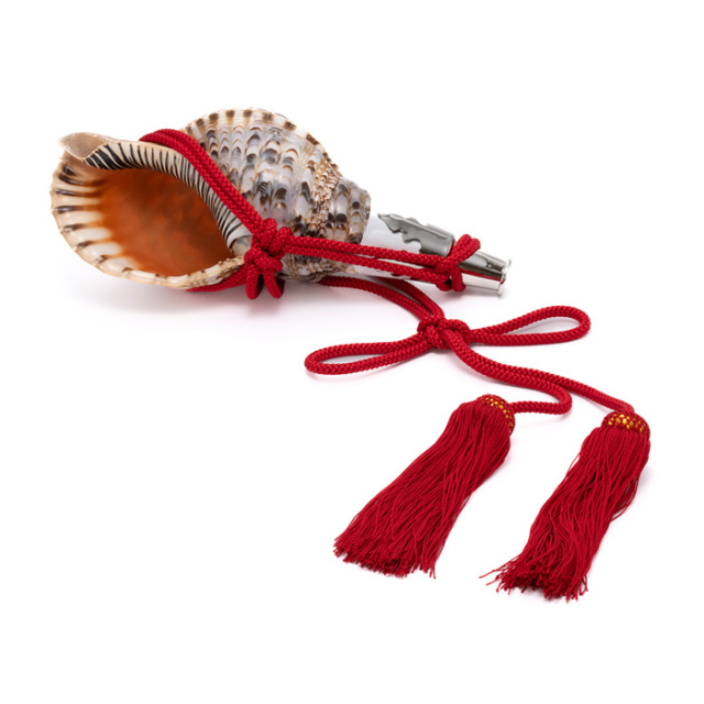 法螺貝 極美品 約34cm 重量級 ホラガイ ホラ貝 ほら貝 ほらがい 螺貝 法螺貝 34cmホラ貝 ほら貝 ほらがい 螺貝 ホラガイ